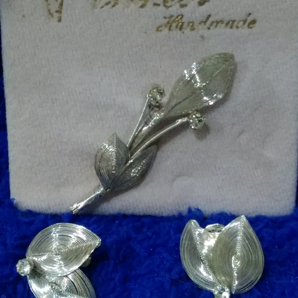 Princess pin and earrings